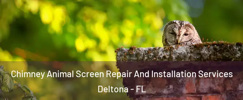  Chimney Animal Screen Repair And Installation Services Deltona - FL