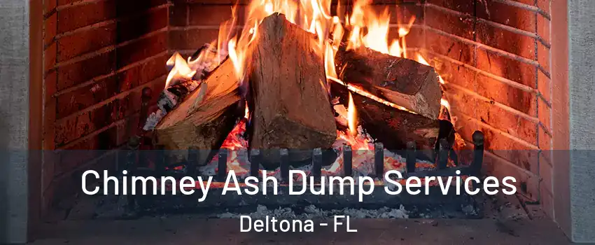  Chimney Ash Dump Services Deltona - FL