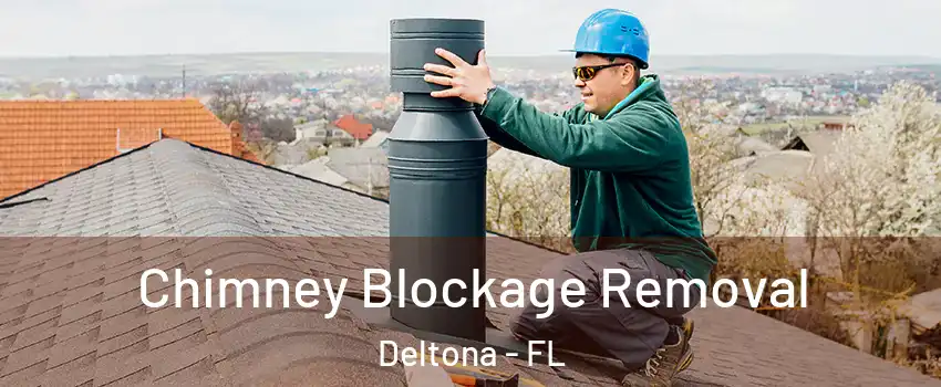 Chimney Blockage Removal Deltona - FL