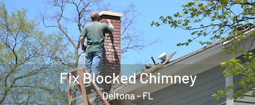  Fix Blocked Chimney Deltona - FL