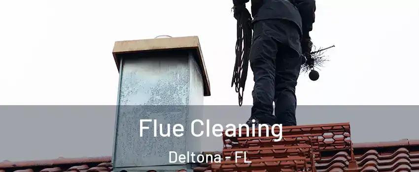  Flue Cleaning Deltona - FL