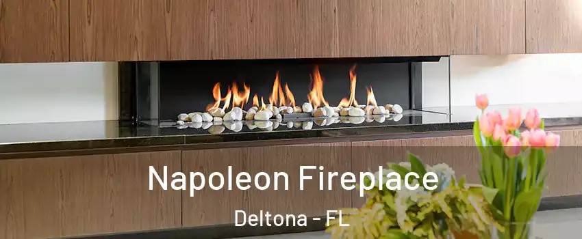  Napoleon Fireplace Deltona - FL